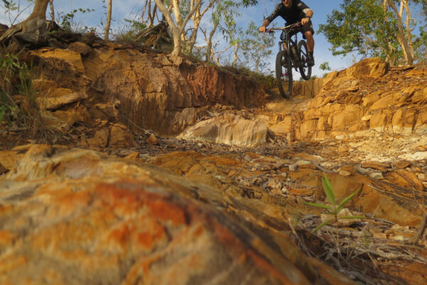 A visitor mountain biking in Charles Darwin National Park.Lying on Darwin's Frances Bay, Charles Darwin National Park protects one of Australia's most significant wetlands, important woodlands and local indigenous and WWII histories. Explore the park's extensive network of walking and cycling tracks, which were developed in the war years.